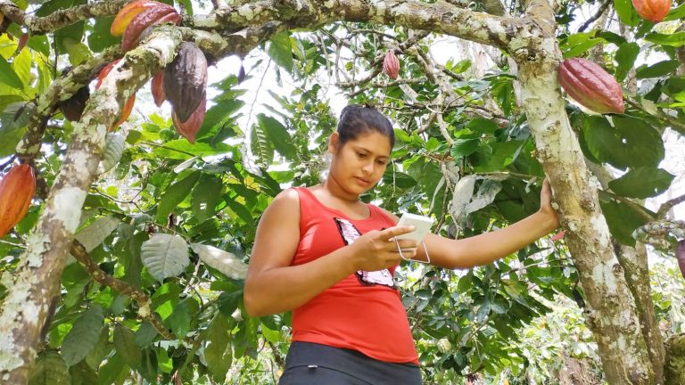 Más mujeres al frente de fincas de cacao